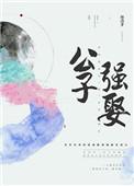 公子强娶书评