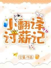 小翻译讨薪记txt百度