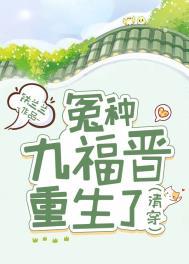 清穿九福晋败家