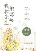我和我先生离婚了无防盗