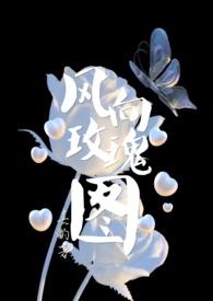 风向玫瑰图在哪找