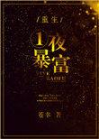 一夜暴富我