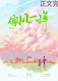 像风一样mp3