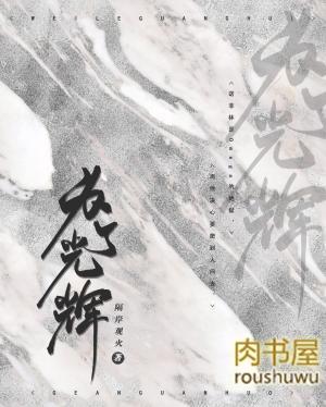 为了光辉免费阅读
