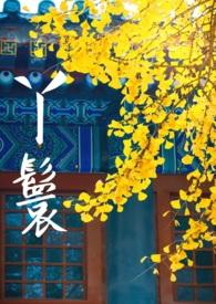 丫鬟升职记