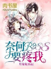 奈何boss又如何免费观看完整版