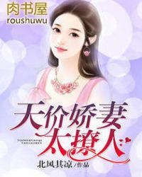天价宠妻简介