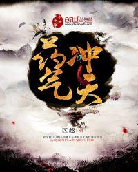 药气冲天封面图片