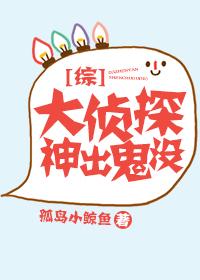 综大侦探神出鬼没免费阅读