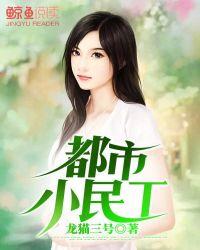 都市小民工夏岚是什么人