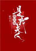 他说他是我夫人