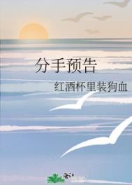 分手预告简介