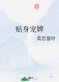 贴身宠婢免费阅读全文无弹窗
