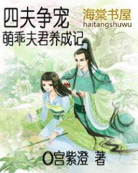四夫争宠萌乖夫君养成记讲的什么