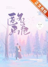 匿名画卷免费阅读全文
