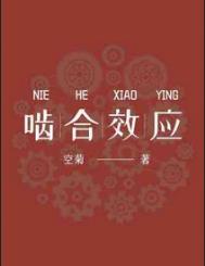 啮合效应41章详细内容