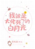 我就是大佬死了的白月光免费阅读无弹窗