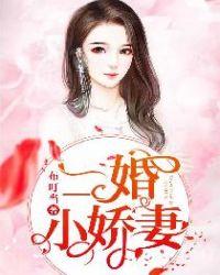 二婚小娇妻 布叮当