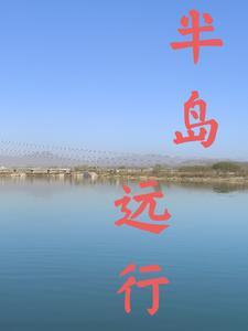 星际修真生活百度