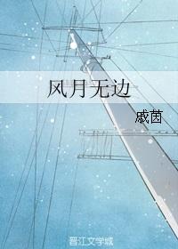 风月无边书法作品