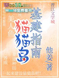 猫猫岛基建指南txt