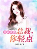 总裁轻一点免费阅读全文