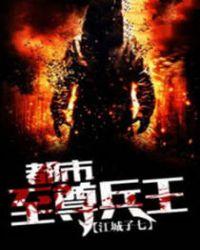 都市至尊兵王叶枫