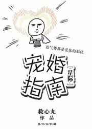 宠婚日常免费阅读