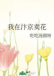 我在汴京卖花笔趣阁
