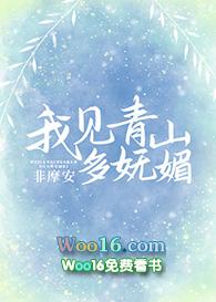我见青山多妩媚简介