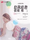 高冷总裁追妻傻白甜全文免费阅读