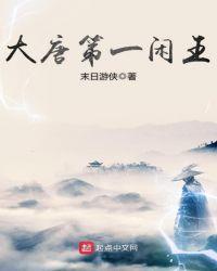大唐第一闲王txt奇书网