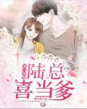 豪门替嫁 陆总喜当爹