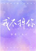 戒不掉你的温柔dj舞曲