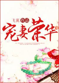 宠妻荣华三观不正