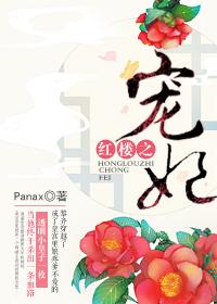 红楼之宠后之路免费阅读