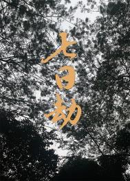 七日劫爱恨同归处全集