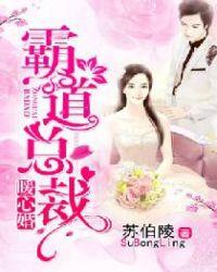 霸道总裁新婚暖妻