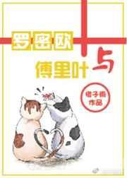 罗密欧与傅里叶tXt
