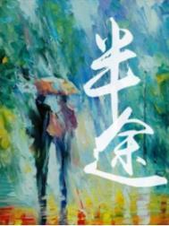 半途风华