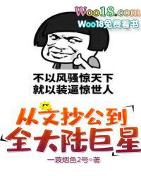 从文抄公到全大陆巨星类似的