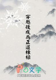 穿越我成了正道第一大佬