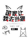 国家让我去当猫t