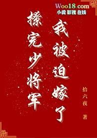 撩完少将军我被迫嫁了作者拾六夜