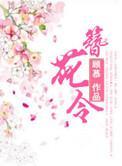 簪花令起源于哪里