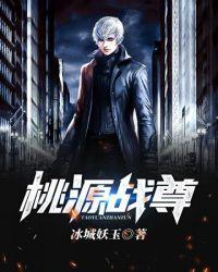 桃源战尊全书