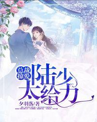 总裁文陆少的暖婚新妻