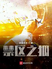 禁区之狐是什么意思