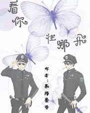 看你往哪飞讲了什么