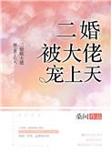 二婚宠爱
